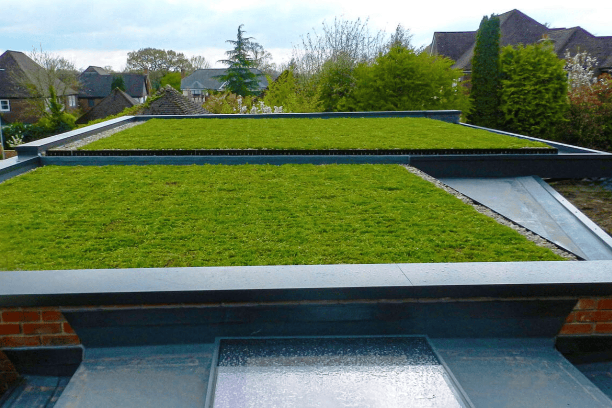 The Role Of Green Roofing In Sustainable Architecture